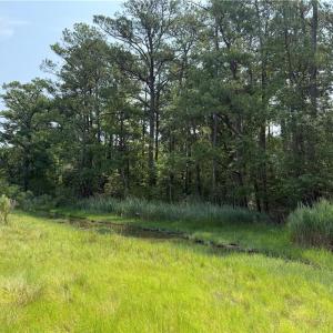 Photo #1 of 119 Stillwater Lane, Yorktown, Virginia 2.7 acres