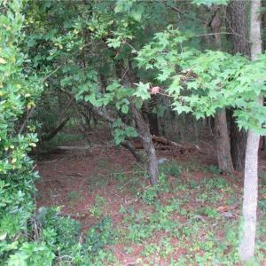 Photo #3 of 5701 Old Union Road, Charles City, Virginia 1.0 acres