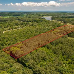 Photo #14 of 40-76 Featherbed Lane, Gloucester, Virginia 15.3 acres