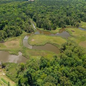 Photo #40 of 40-76 Featherbed Lane, Gloucester, Virginia 15.3 acres