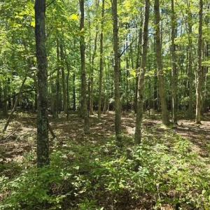 Photo #1 of 13630 Woodside Lane, Newport News, Virginia 5.1 acres