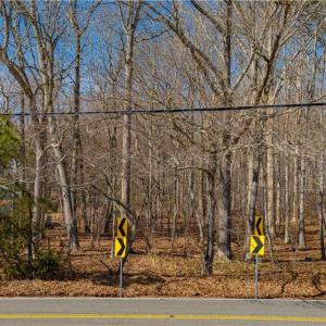 Photo #6 of Lot 8 New Bridge Road, Virginia Beach, Virginia 1.1 acres