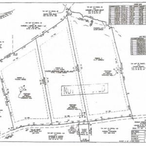 Previously proposed subdivision of lot each with its own drain field (*buyer would need to reestablish their own approved plans)