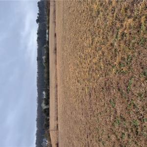 Photo #3 of 2084 Camden Court, Virginia Beach, Virginia 3.0 acres