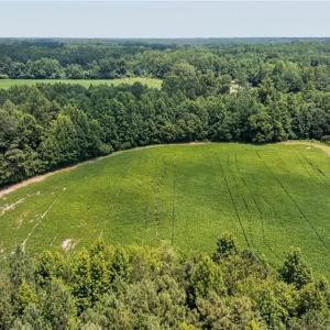 Photo #11 of 2249 Hosier Road, Suffolk, Virginia 69.3 acres