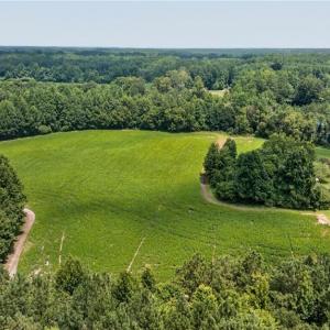Photo #13 of 2249 Hosier Road, Suffolk, Virginia 69.3 acres