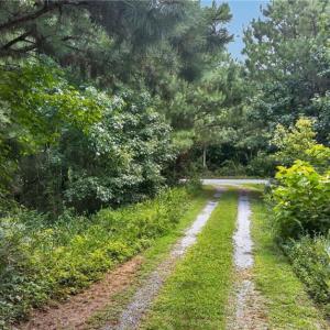 Photo #17 of 2249 Hosier Road, Suffolk, Virginia 69.3 acres