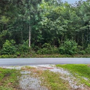 Photo #18 of 2249 Hosier Road, Suffolk, Virginia 69.3 acres