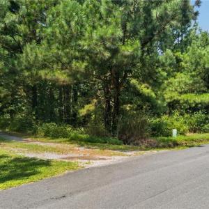 Photo #19 of 2249 Hosier Road, Suffolk, Virginia 69.3 acres