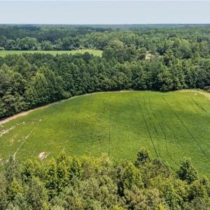 Photo #11 of 2249 Hosier Road, Suffolk, Virginia 69.3 acres
