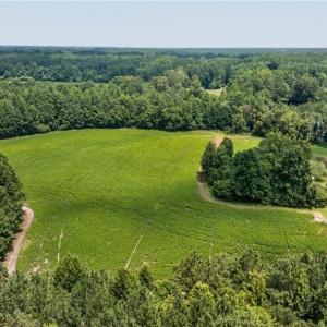 Photo #13 of 2249 Hosier Road, Suffolk, Virginia 69.3 acres