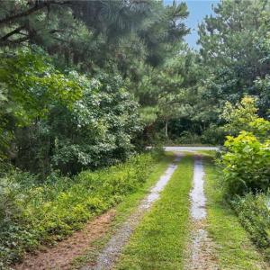 Photo #17 of 2249 Hosier Road, Suffolk, Virginia 69.3 acres