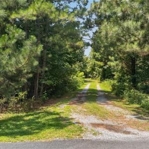 Photo #20 of 2249 Hosier Road, Suffolk, Virginia 69.3 acres