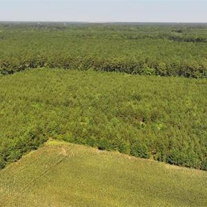 Photo #3 of 006 Georgetown Road, Waverly, Virginia 15.0 acres