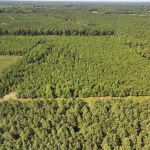Photo #5 of 006 Georgetown Road, Waverly, Virginia 15.0 acres