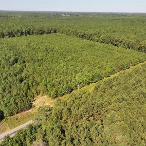 Photo #6 of 006 Georgetown Road, Waverly, Virginia 15.0 acres
