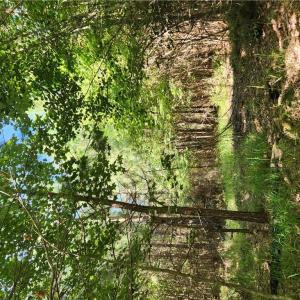 Photo #7 of 006 Georgetown Road, Waverly, Virginia 15.0 acres