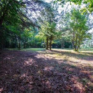 Photo #8 of 6250 Tuckers Ridge Lane, Barhamsville, Virginia 2.0 acres