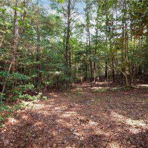 Photo #9 of 6250 Tuckers Ridge Lane, Barhamsville, Virginia 2.0 acres