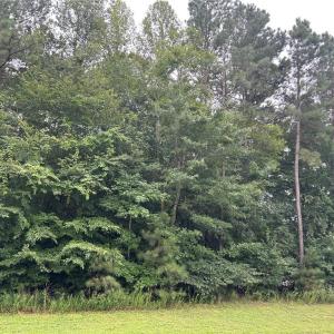 Photo #4 of 3439 Westport Road, Williamsburg, Virginia 4.2 acres