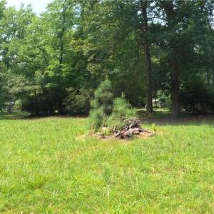 Photo #13 of 280 Elmington Place, Heathsville, Virginia