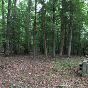 Photo #22 of 280 Elmington Place, Heathsville, Virginia