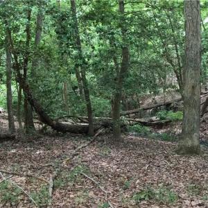 Photo #26 of 280 Elmington Place, Heathsville, Virginia