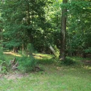Photo #10 of 280 Elmington Place, Heathsville, Virginia