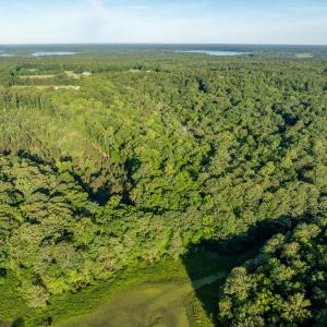 Photo #11 of 2425 Jolly Pond Road, Williamsburg, Virginia 15.5 acres