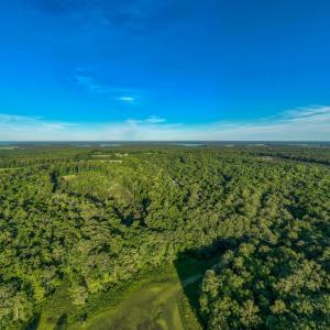 Photo #12 of 2425 Jolly Pond Road, Williamsburg, Virginia 15.5 acres