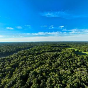 Photo #13 of 2425 Jolly Pond Road, Williamsburg, Virginia 15.5 acres