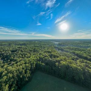 Photo #14 of 2425 Jolly Pond Road, Williamsburg, Virginia 15.5 acres