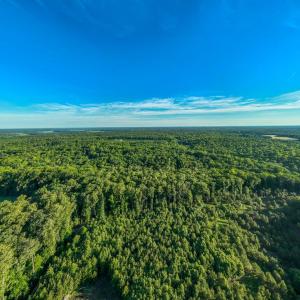 Photo #15 of 2425 Jolly Pond Road, Williamsburg, Virginia 15.5 acres