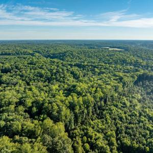 Photo #16 of 2425 Jolly Pond Road, Williamsburg, Virginia 15.5 acres