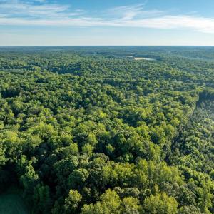 Photo #17 of 2425 Jolly Pond Road, Williamsburg, Virginia 15.5 acres