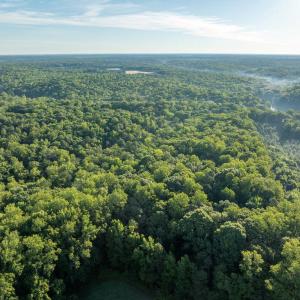 Photo #18 of 2425 Jolly Pond Road, Williamsburg, Virginia 15.5 acres