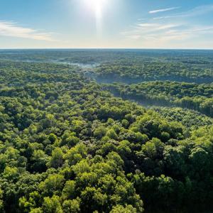 Photo #19 of 2425 Jolly Pond Road, Williamsburg, Virginia 15.5 acres