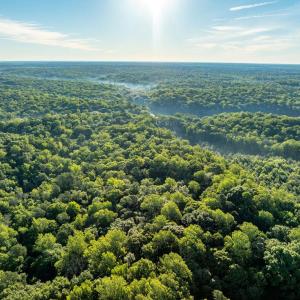 Photo #20 of 2425 Jolly Pond Road, Williamsburg, Virginia 15.5 acres