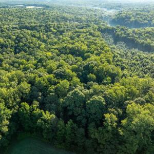 Photo #3 of 2425 Jolly Pond Road, Williamsburg, Virginia 15.5 acres