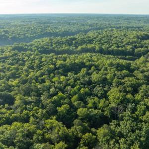 Photo #21 of 2425 Jolly Pond Road, Williamsburg, Virginia 15.5 acres