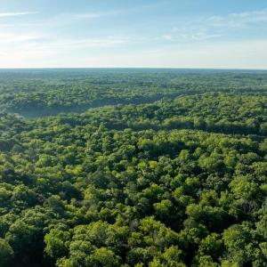 Photo #22 of 2425 Jolly Pond Road, Williamsburg, Virginia 15.5 acres