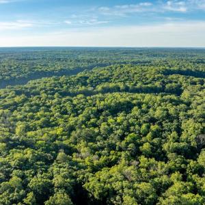 Photo #23 of 2425 Jolly Pond Road, Williamsburg, Virginia 15.5 acres