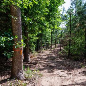 Photo #24 of 2425 Jolly Pond Road, Williamsburg, Virginia 15.5 acres