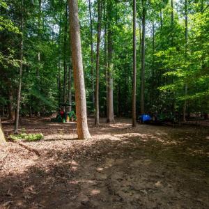 Photo #25 of 2425 Jolly Pond Road, Williamsburg, Virginia 15.5 acres