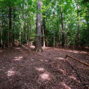Photo #26 of 2425 Jolly Pond Road, Williamsburg, Virginia 15.5 acres
