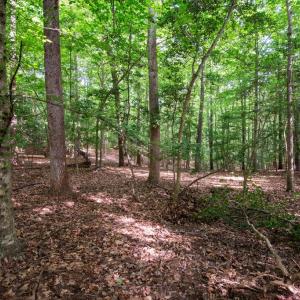 Photo #27 of 2425 Jolly Pond Road, Williamsburg, Virginia 15.5 acres