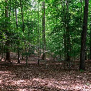 Photo #29 of 2425 Jolly Pond Road, Williamsburg, Virginia 15.5 acres