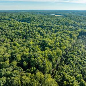 Photo #4 of 2425 Jolly Pond Road, Williamsburg, Virginia 15.5 acres