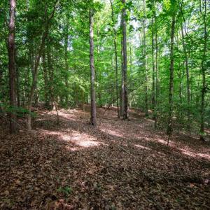 Photo #32 of 2425 Jolly Pond Road, Williamsburg, Virginia 15.5 acres