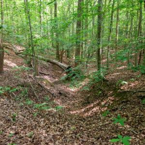 Photo #38 of 2425 Jolly Pond Road, Williamsburg, Virginia 15.5 acres